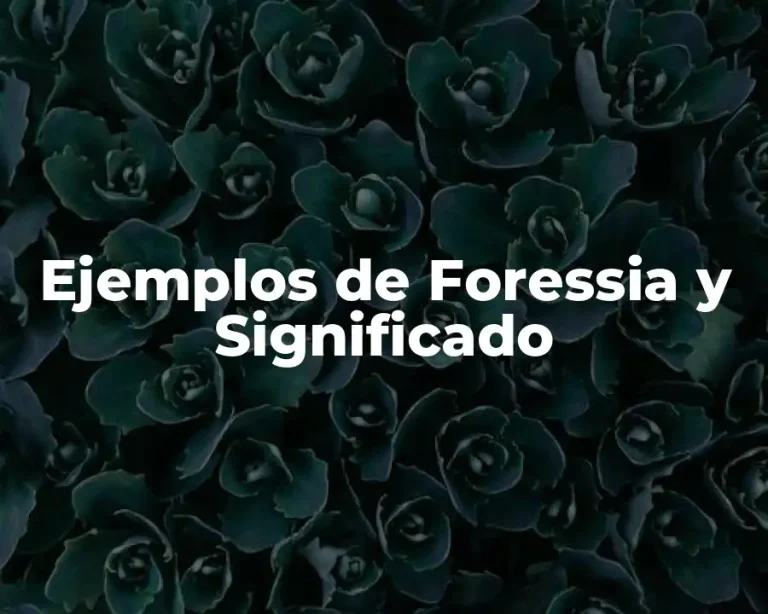 Ejemplos de Foressia y Significado
