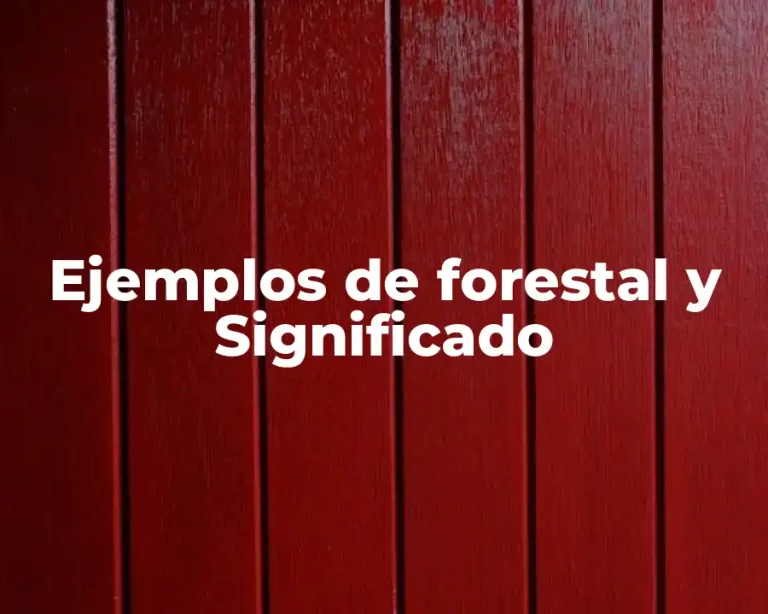 Ejemplos de forestal y Significado