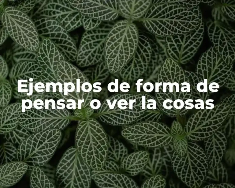 Ejemplos de forma de pensar o ver la cosas