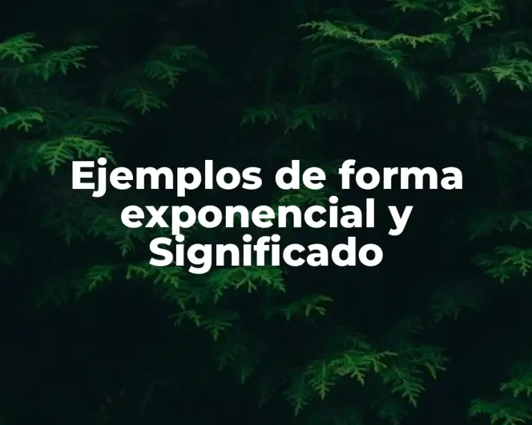Ejemplos de forma exponencial y Significado