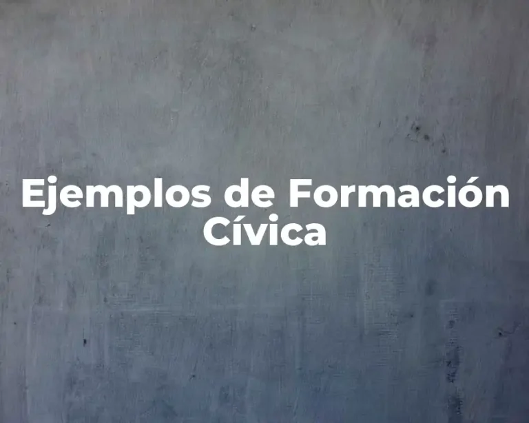 Ejemplos de Formación Cívica