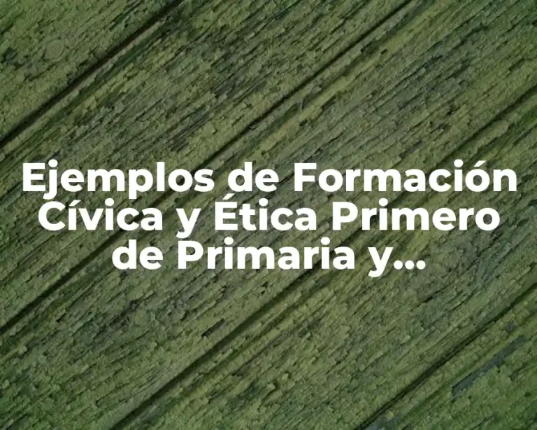 Ejemplos de Formación Cívica y Ética Primero de Primaria y Significado