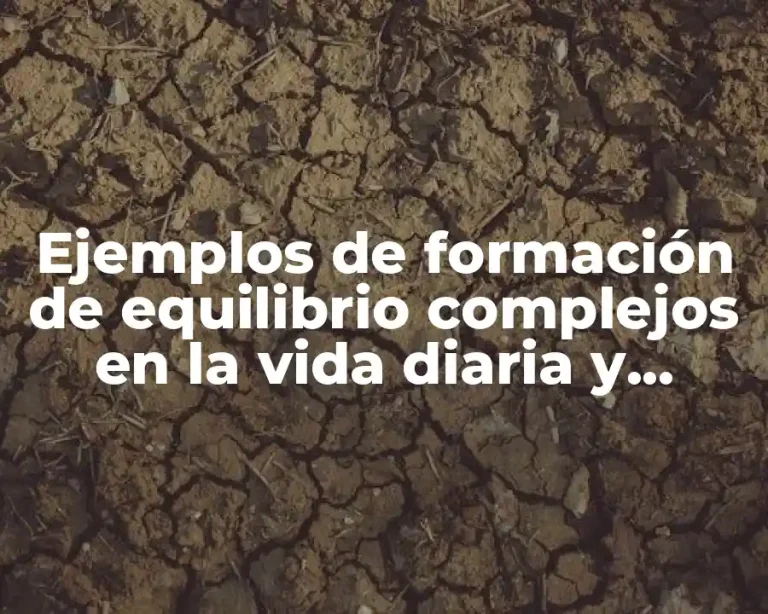 Ejemplos de formación de equilibrio complejos en la vida diaria y Significado