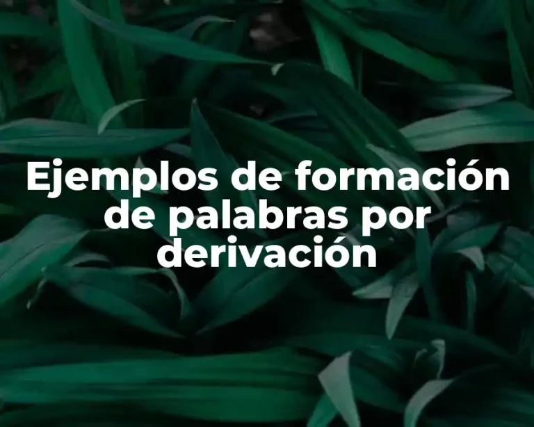 Ejemplos de formación de palabras por derivación