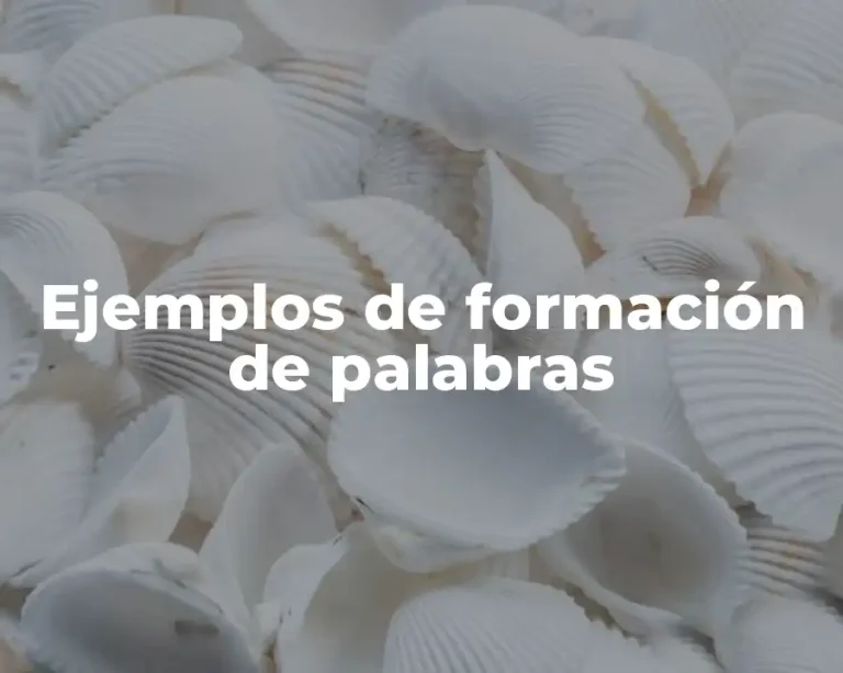 Ejemplos de formación de palabras