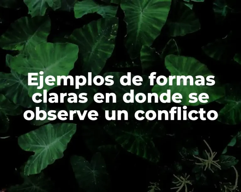 Ejemplos de formas claras en donde se observe un conflicto