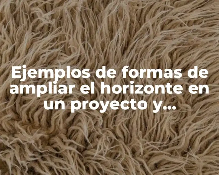 Ejemplos de formas de ampliar el horizonte en un proyecto y Significado