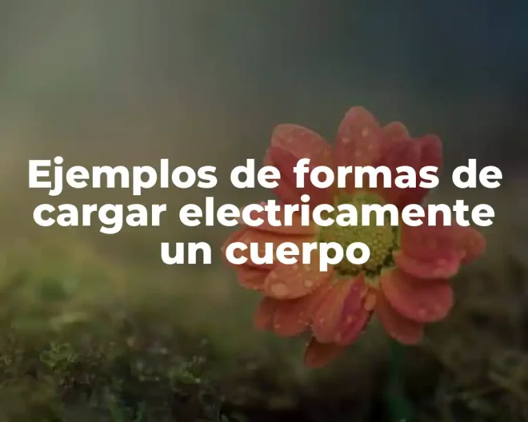 Ejemplos de formas de cargar electricamente un cuerpo