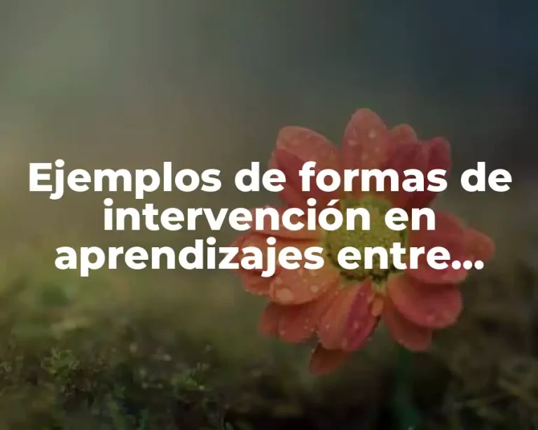 Ejemplos de formas de intervención en aprendizajes entre escuelas