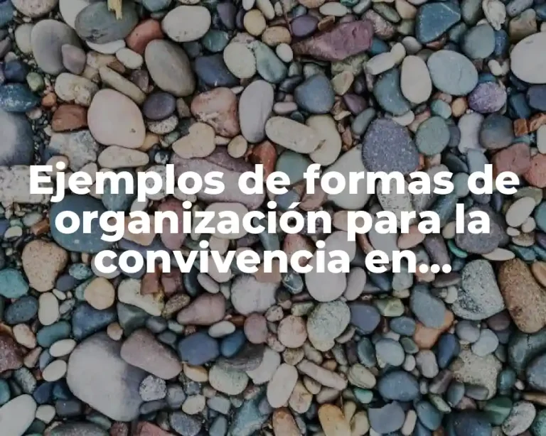 Ejemplos de formas de organización para la convivencia en Chihuahua