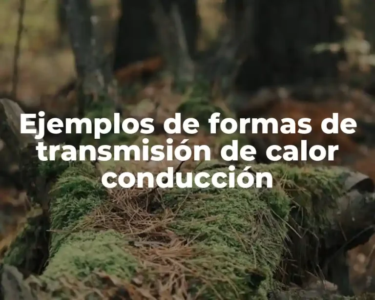 Ejemplos de formas de transmisión de calor conducción
