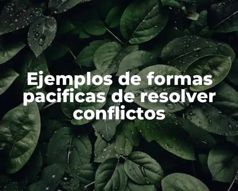 Ejemplos de formas pacificas de resolver conflictos