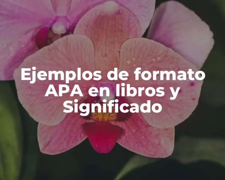 Ejemplos de formato APA en libros y Significado