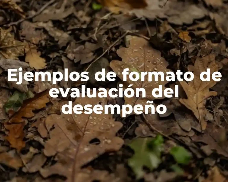 Ejemplos de formato de evaluación del desempeño