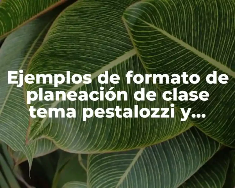 Ejemplos de formato de planeación de clase tema pestalozzi y Significado