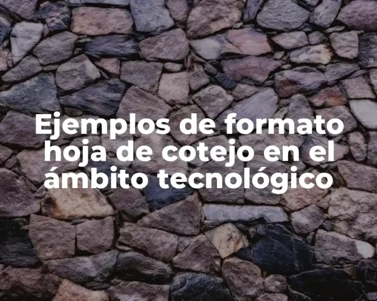 Ejemplos de formato hoja de cotejo en el ámbito tecnológico