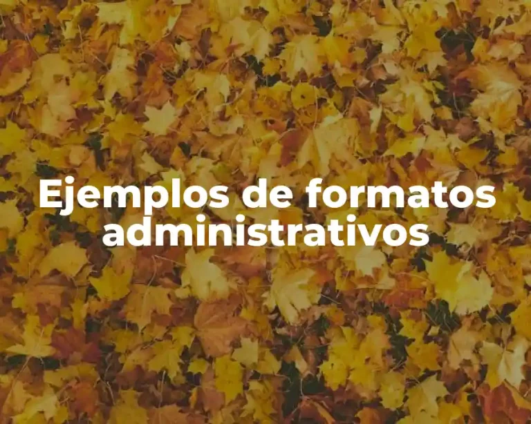 Ejemplos de formatos administrativos