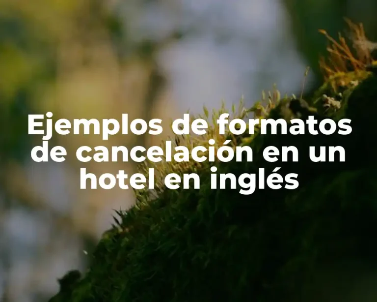 Ejemplos de formatos de cancelación en un hotel en inglés