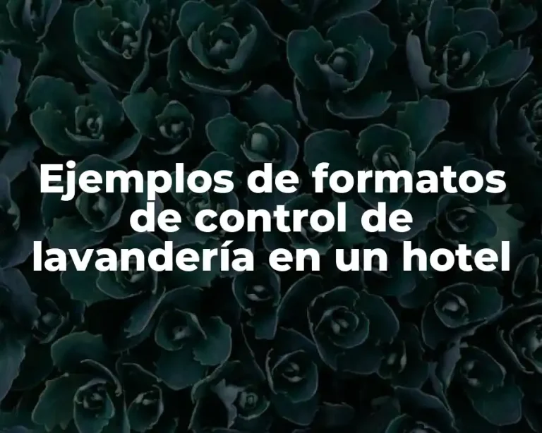 Ejemplos de formatos de control de lavandería en un hotel