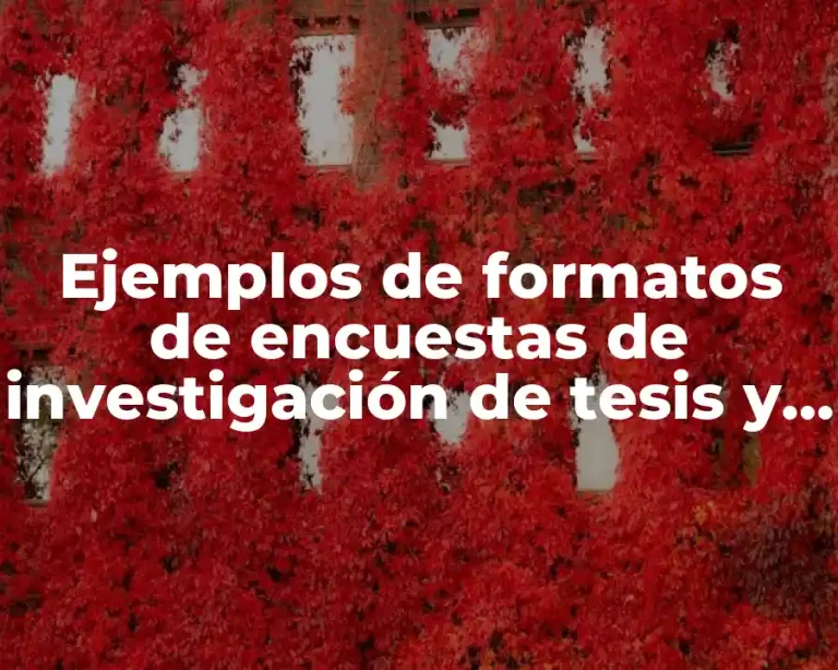 Ejemplos de formatos de encuestas de investigación de tesis y Significado