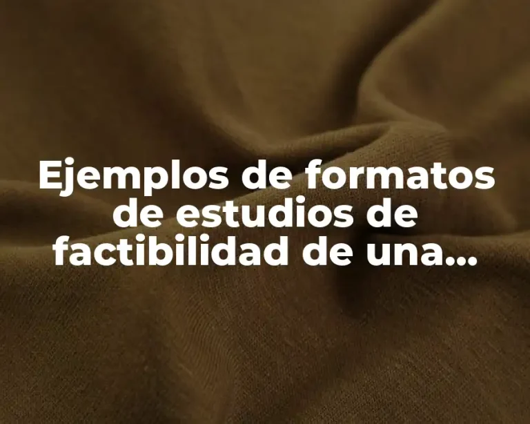 Ejemplos de formatos de estudios de factibilidad de una escuela