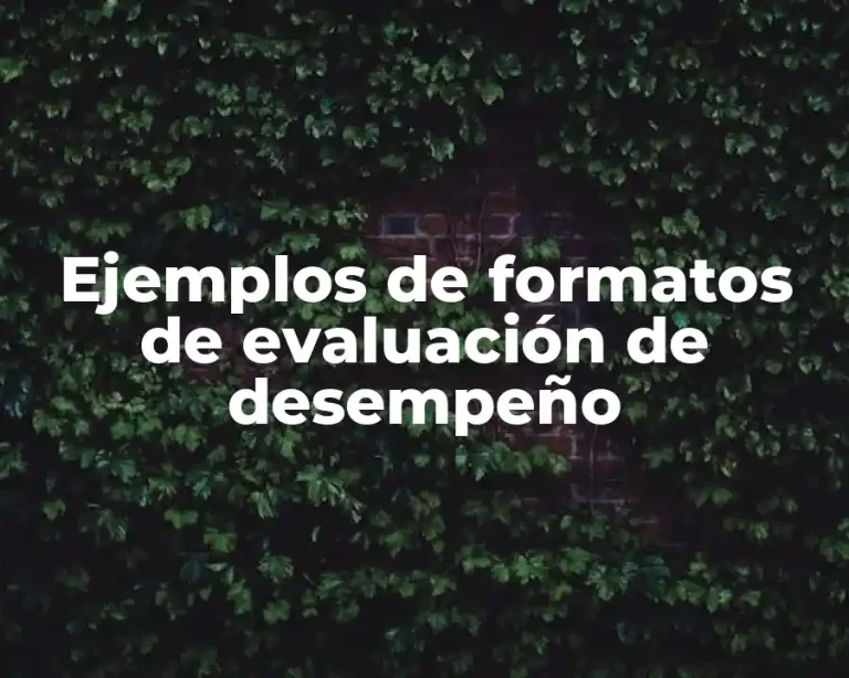 Ejemplos de formatos de evaluación de desempeño