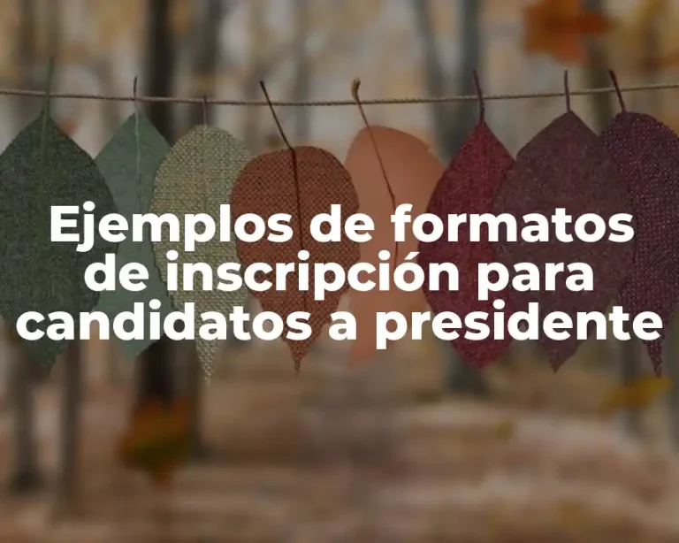Ejemplos de formatos de inscripción para candidatos a presidente