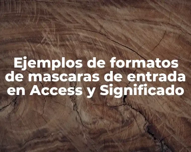 Ejemplos de formatos de mascaras de entrada en Access y Significado