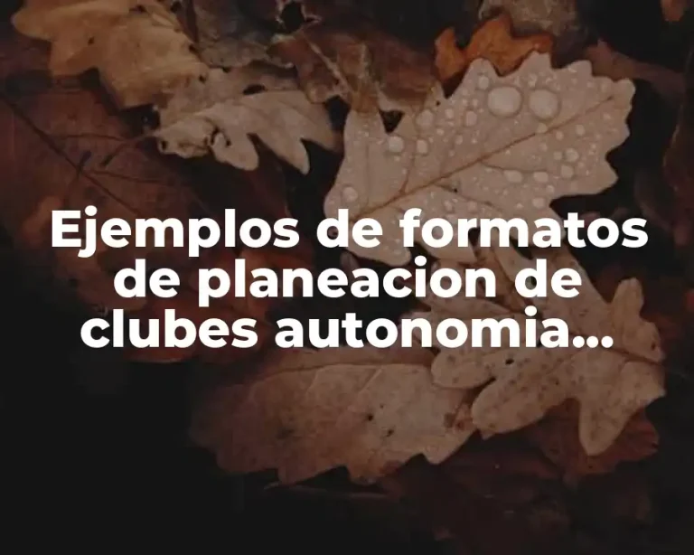 Ejemplos de formatos de planeacion de clubes autonomia curricular