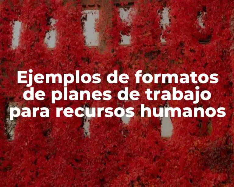 Ejemplos de formatos de planes de trabajo para recursos humanos