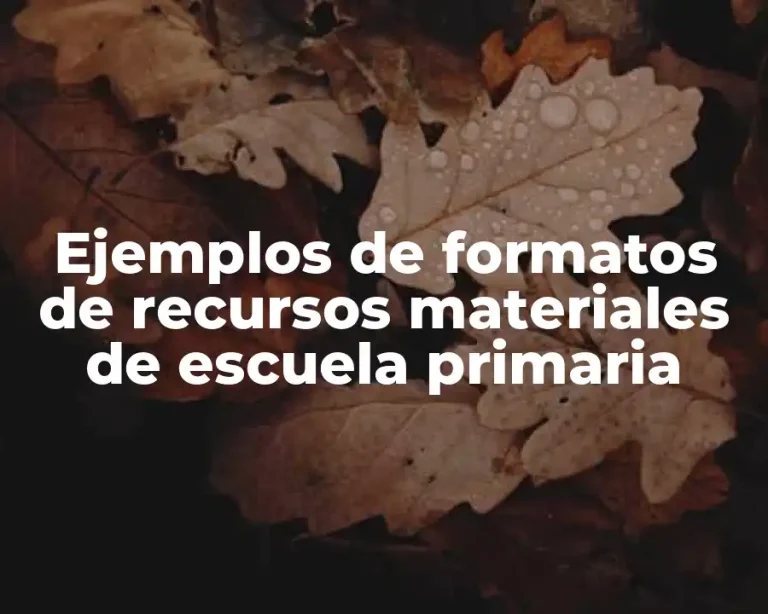 Ejemplos de formatos de recursos materiales de escuela primaria