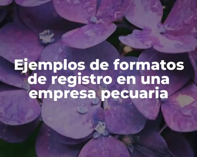 Ejemplos de formatos de registro en una empresa pecuaria