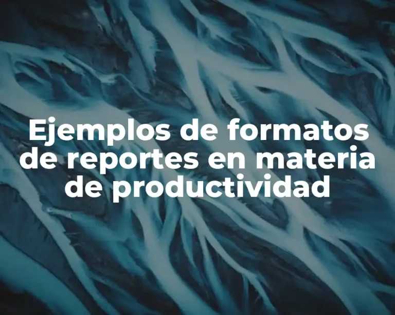 Ejemplos de formatos de reportes en materia de productividad