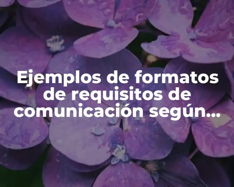 Ejemplos de formatos de requisitos de comunicación según PMBOK