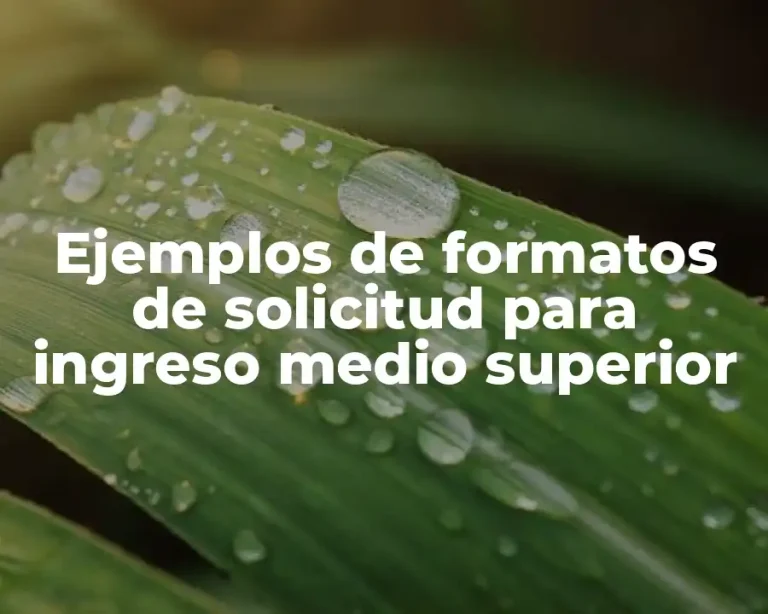 Ejemplos de formatos de solicitud para ingreso medio superior