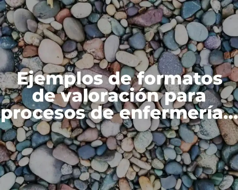 Ejemplos de formatos de valoración para procesos de enfermería y Significado