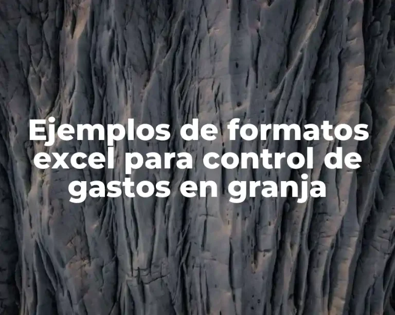 Ejemplos de formatos excel para control de gastos en granja