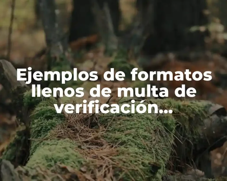 Ejemplos de formatos llenos de multa de verificación extemporánea