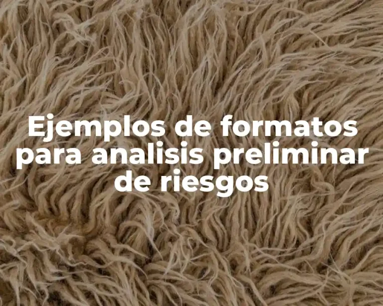 Ejemplos de formatos para analisis preliminar de riesgos