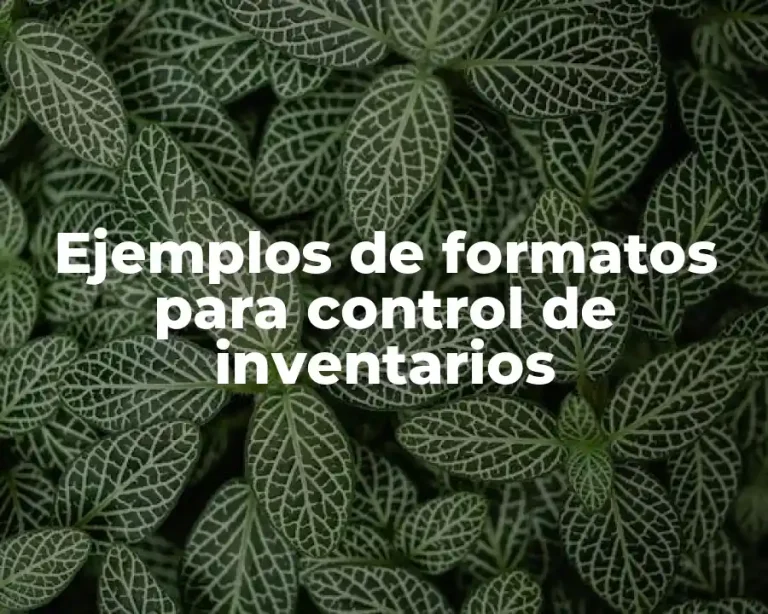 Ejemplos de formatos para control de inventarios