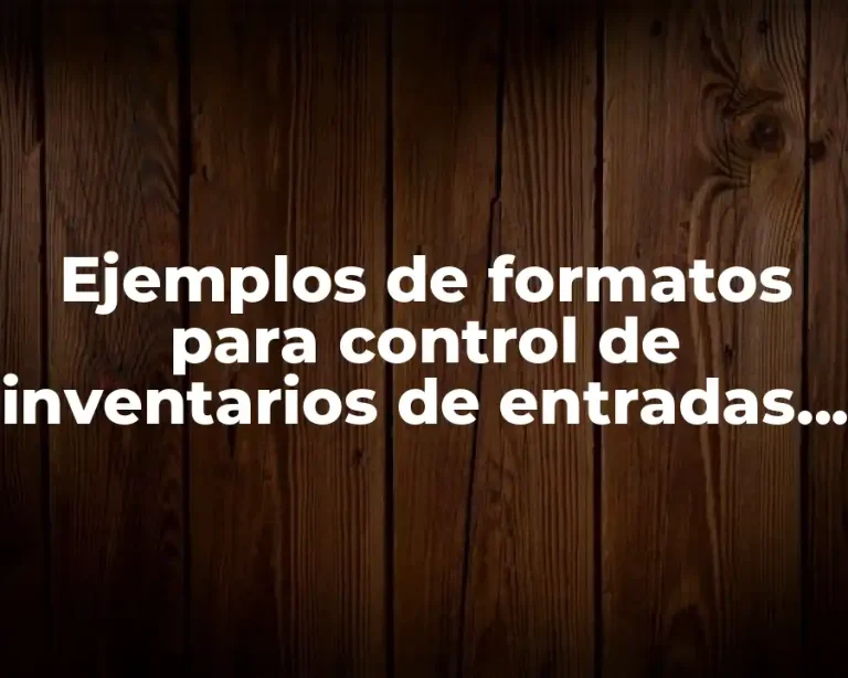 Ejemplos de formatos para control de inventarios de entradas y salidas