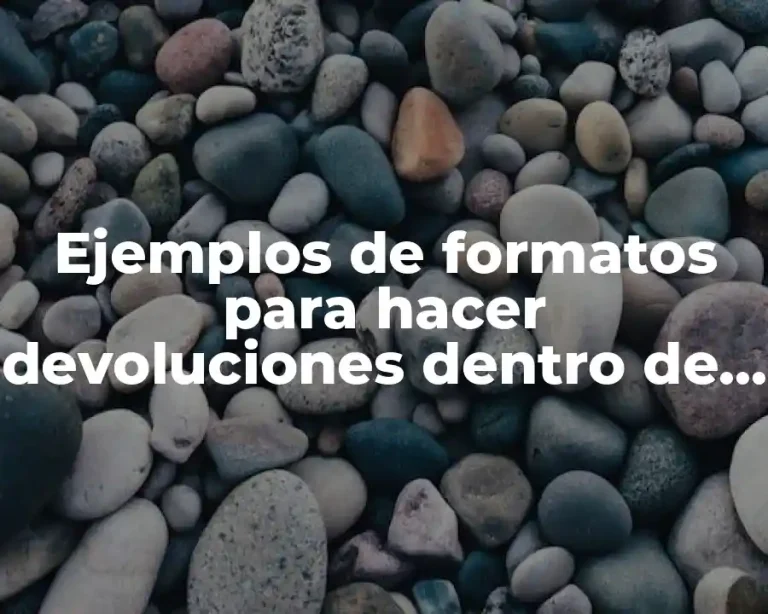 Ejemplos de formatos para hacer devoluciones dentro de un almacén