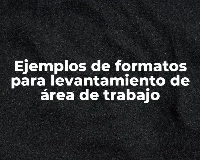 Ejemplos de formatos para levantamiento de área de trabajo