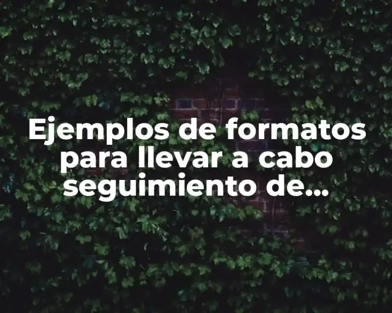 Ejemplos de formatos para llevar a cabo seguimiento de evaluación