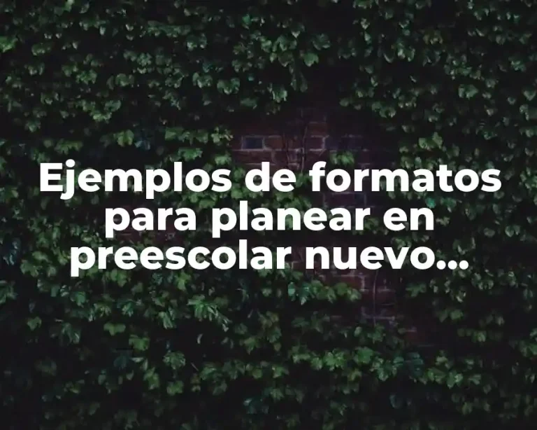 Ejemplos de formatos para planear en preescolar nuevo modelo