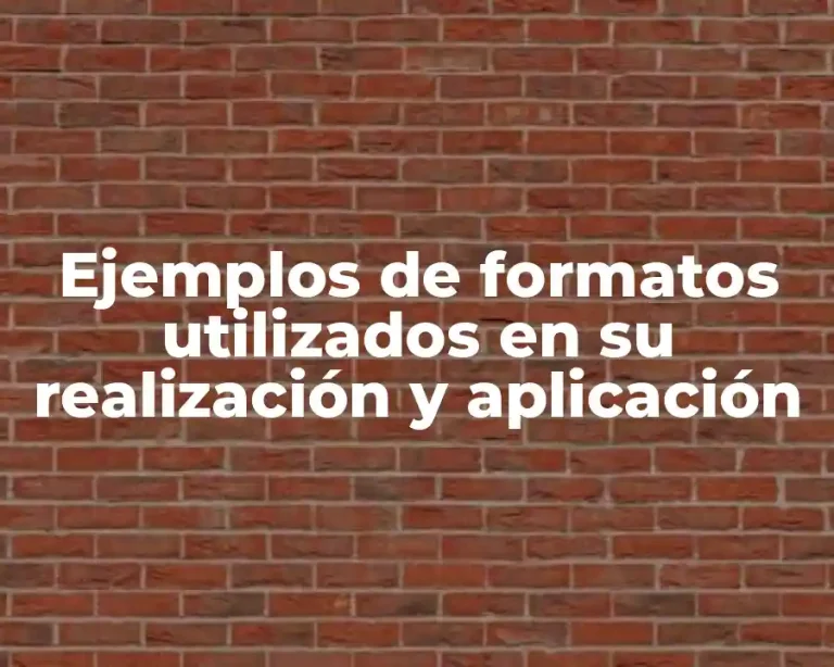 Ejemplos de formatos utilizados en su realización y aplicación