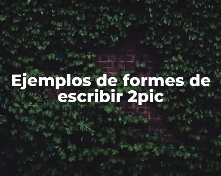 Ejemplos de formes de escribir 2pic