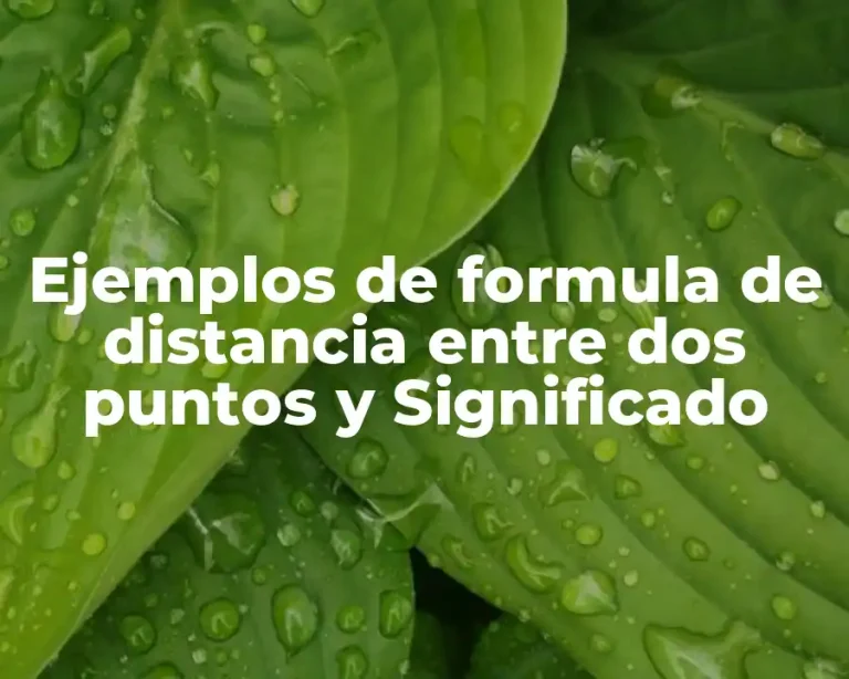Ejemplos de formula de distancia entre dos puntos y Significado