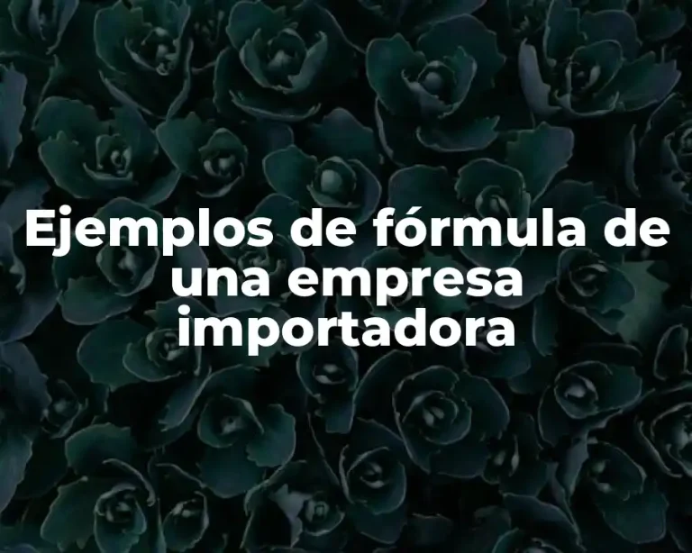 Ejemplos de fórmula de una empresa importadora