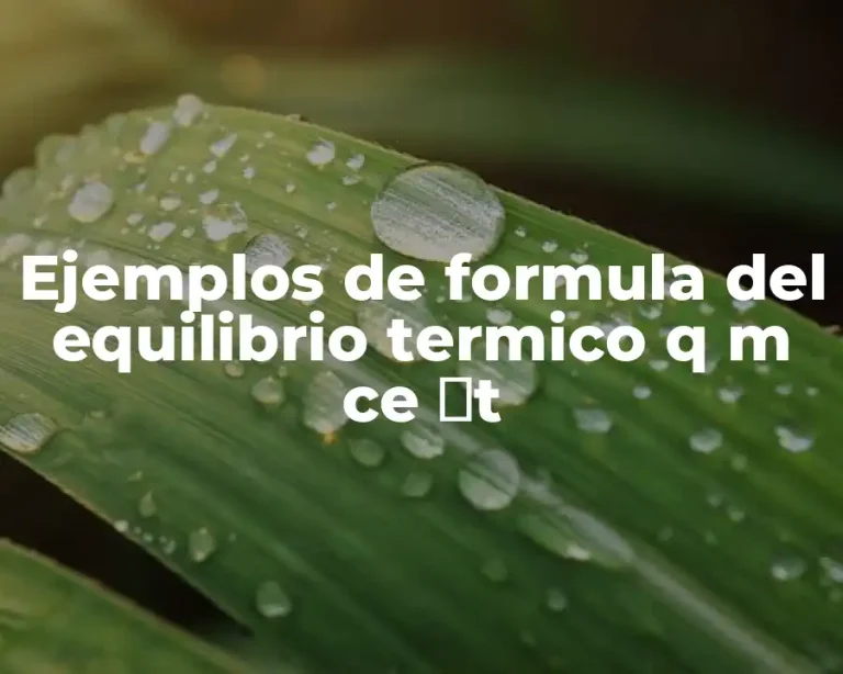 Ejemplos de formula del equilibrio termico q m ce δt